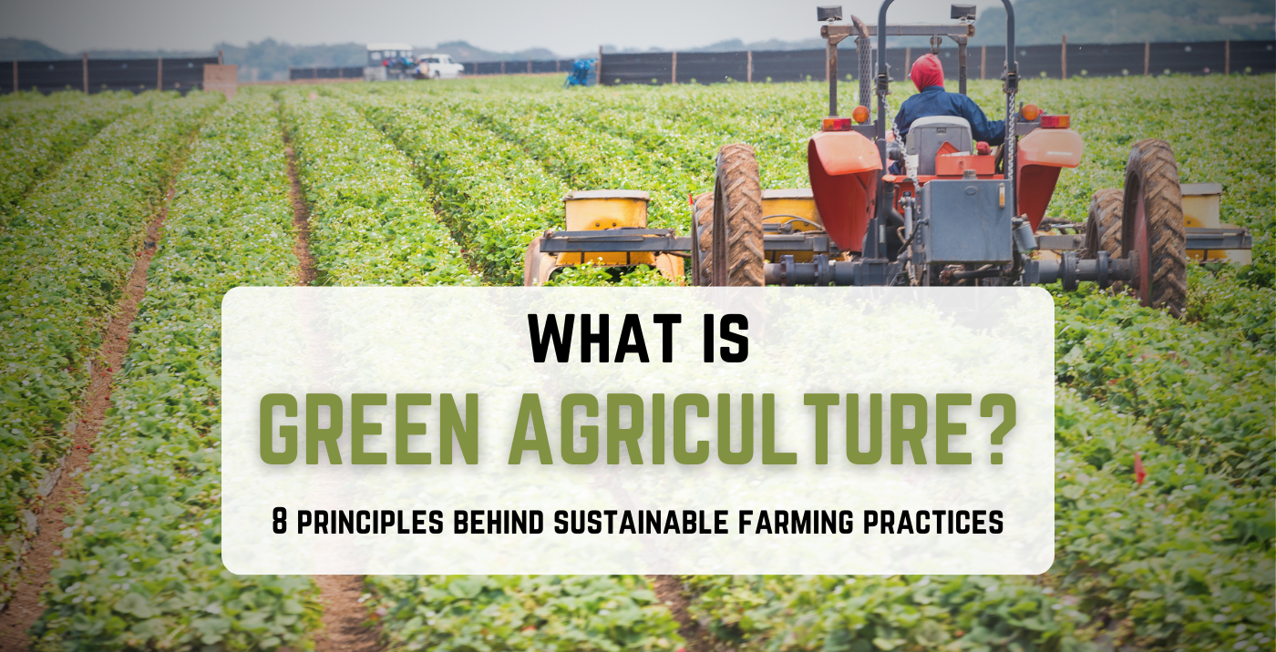 What Is Green Agriculture? (8 Essential Principles for Sustainable Farming)